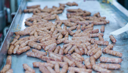 Vigasz. Stílusparódia több részben. Első rész.