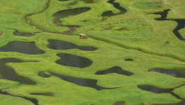 Une merveilleuse montagne au milieu de la mer