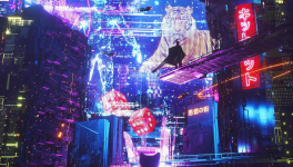 2021 - Décembre - Semaine 50