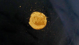 Cœur d'Or