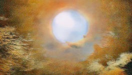 Photographie Picturale