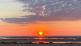 Les premiers mots...