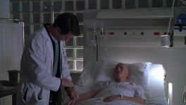 Mon Combat (Wit, Mike Nichols, 2001)