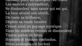 Dans un profil nuageux...