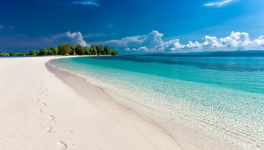 Lâcher-prise d’été