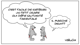 Le rat qui étudiait les crabes