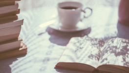 La PAL du mois de Janvier 2024