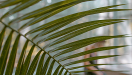 Raphaëlle et Victor