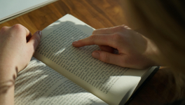 Le rapport de Brodeck