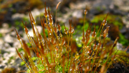 #LinkTober2025 : Enfer