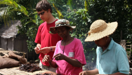 La vanille - De Son Histoire à son Utilisation