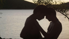 L'Inconnu du lac (Alain Guiraudie, 2013)