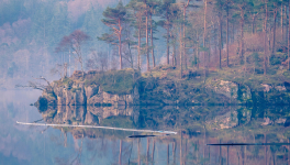 Préambule (Photo by Jonny Gios on Unsplash)