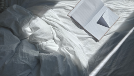 Page du journal d’une monomaniaque