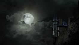 Rencontre avec Ysa Lapiert 