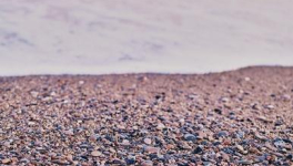 Chapitre 17 Le retour