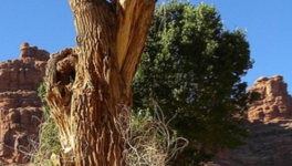 D'UN MONDE SANS ÂME À UN MONDE RELIGIEUX