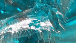 Raymond et la scolopendre