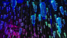 The Imperative of Sustainable Development