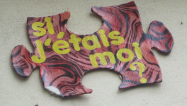 Présentation et début de mon roman