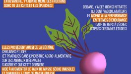 Mange tes betteraves !