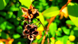 Chapitre 5 : Le palais de l'esprit du dragon rouge