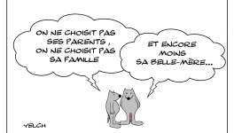 Le non-choix de la belle-mère