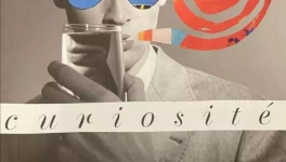 CollageFeur - Curiosité