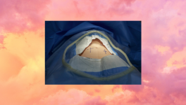 Éclats d'un voyage intérieur