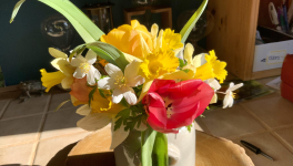 Votre bouquet du Dimanche 27 Mars 