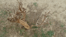 Losing the sun (part 1/3)