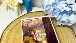 Facette et Luminen -Emmanuel BOURGOIN