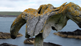 Maintenant qu’il en parle au diable