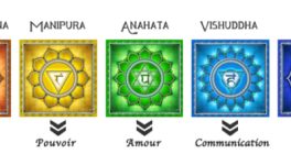 Les POUDRES de PLANTES AYURVEDIQUES