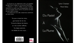 Du Pastel à la Plume