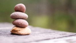 BONTE INFINIE, ERMITE DE LA MONTAGNE DU DRAGON