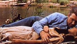 La Flèche brisée (Broken Arrow, Delmer Daves, 1950)