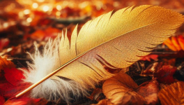 Le Zéphyr assassin ...