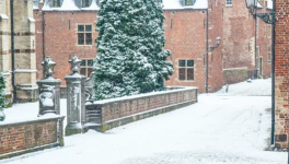 4- La vocation se précise (1531-1533) 