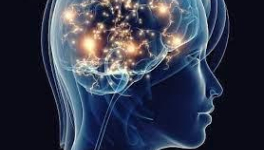 Si le verbe "humourir" (de rire) avait existé, il aurait donné du sens au propre de l'homme.