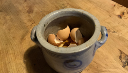 Le jardin du 3 Novembre 