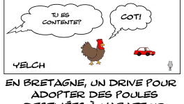 Drive pour adopter des poules