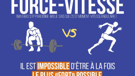La relation force-vitesse