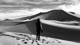 Retour parmi les hommes (2011) Philippe Besson