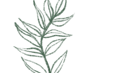 Wo(man in the mirror), c'est ça une reconversion?