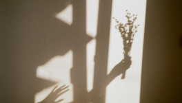 Le crépuscule des dieux