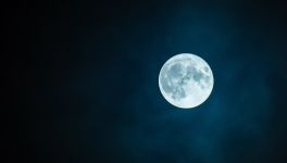 Épisode 22 - Tel père tel fils