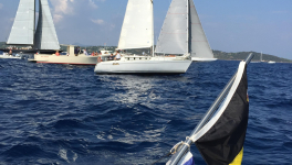 Flambée de Bas-bleus en goguette.