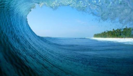 Derrière la palissade, la plage...