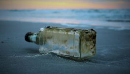 Argo découvre le bois qui n'existe pas